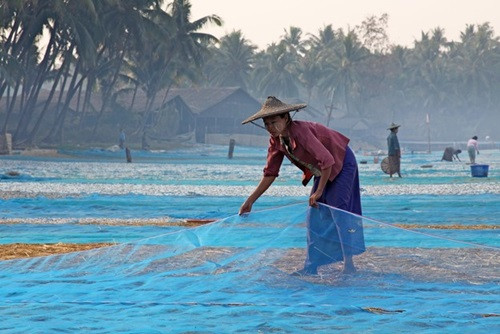 Người dân làng chài Ngapali ở Rakhine phơi lưới. Ảnh: Fotopedia.