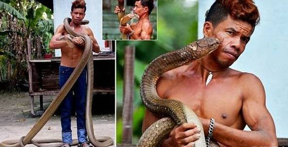 Theo thông tin đăng tải, mới đây, tại một ngôi làng ở Riau, Indonesia, có hai con rắn hổ mang khổng lồ đã xuất hiện, dọa dân trong làng không dám đi ra ngoài.