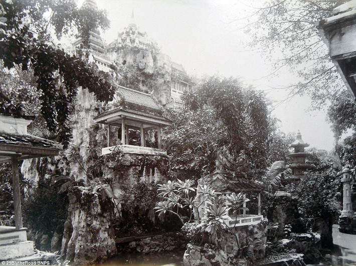 Đây là một góc khu vườn tại nơi ở của Nhà vua Thái Lan.