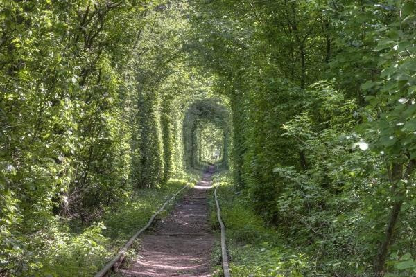 “Tunnel of Love” cũng là một trong những địa điểm thu hút khách du lịch của Ukraine và đó cũng là một trong những khu vực lãng mạn nhất thế giới.