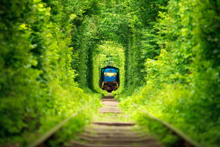 Đường hầm Tình yêu là một điểm tham quan nổi tiếng ở Ukraine. Đây là một tuyến đường sắt tư nhân kéo dài 3.2 km nhưng mang đến cho du khách 'ảo giác' về một đường hầm không bao giờ kết thúc. Một tán cây cây leo được trồng dọc suốt tuyến đường này.