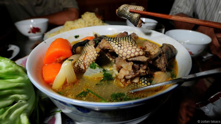Những con rắn biển thường được dùng làm thực phẩm, đồ uống hay thuốc ở các quốc gia châu Á như Trung Quốc và Việt Nam. Thịt rắn là một món ăn. Nó có thể được chiên hoặc nấu súp. Tim và gan rắn được cho là có lợi đối với phụ nữ mang thai.