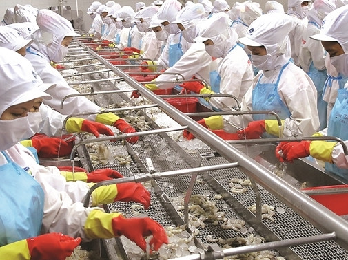 Theo nhận xét của một số lãnh đạo MPC, Dịu Minh có năng lực, ham học hỏi, giúp được không ít việc cho cha cô cũng như cả tập đoàn. Tuy nhiên, có một điều không thể phủ nhận được là sau khi Lê Thị Dịu Minh được bổ nhiệm chức vụ Phó Tổng giám đốc, kết quả kinh doanh của công ty trong năm qua đã lao dốc không phanh.