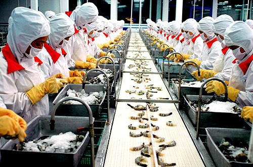 Kết thúc năm 2015, MPC chỉ đạt 12 tỷ đồng, giảm 99% cùng kỳ và thực hiện chỉ chưa đầy 1% kế hoạch đặt ra trước đó, là 1.416 tỷ đồng. Sau khi trừ thuế thu nhập doanh nghiệp, Minh Phú lỗ ròng gần 7 tỷ đồng, trái ngược với mức lãi 921 tỷ đồng của năm trước đó. Quý 1/2016 lãi của công ty giảm 33% so với cùng kỳ.