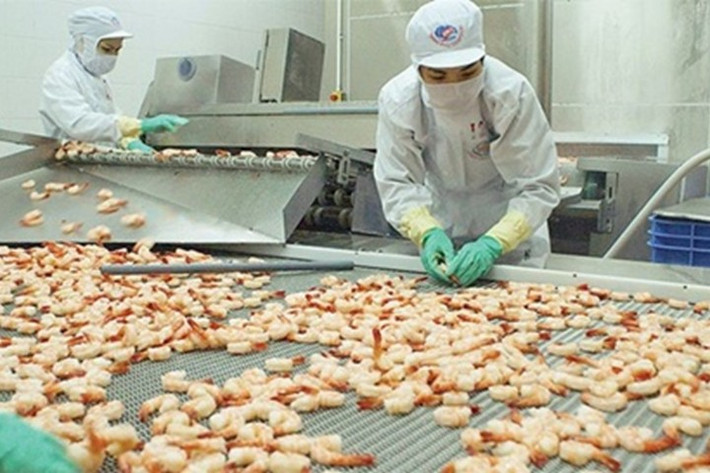 Đươc bổ nhiệm chức vụ Phó Tổng giám đốc Minh Phú nhưng ái nữ Lê Thị Dịu Minh không thể hiện được nhiều. Rõ ràng, với việc lợi nhuận công ty liên tục đi xuống, ban lãnh đạo công ty không thể nhận rằng đã hoàn thành xuất sắc nhiệm vụ của mình.