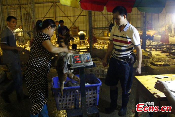 Hầu hết số vịt này được bán buôn cho những người bán lẻ hoặc các nhà hàng.
