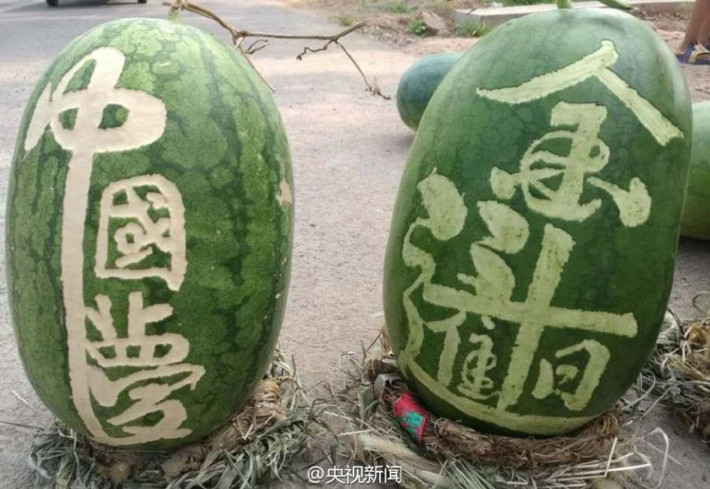 "Thật không ngờ, hôm đấy ngay khi tôi khắc hai chữ “phúc” và “thọ” lên hai quả dưa hấu, có người tới mua luôn", ông Gu kể lại.