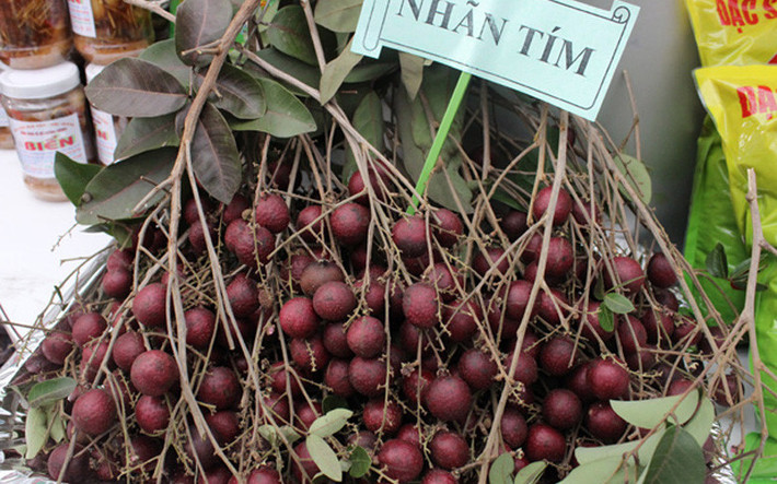Nhãn tím là một sản phẩm đột biến gene do nông dân Trần Văn Huy (ấp Phong Thạnh, xã Phong Nẫm, huyện Kế Sách, tỉnh Sóc Trăng) phát hiện rồi chiết cành, nhân giống.