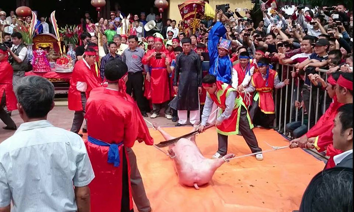 Đúng 12h trưa, hai tướng thủ đao được dân làng chọn từ những gia đình hạnh phúc, con cháu đề huề, nuôi lợn mát tay, khỏe mạnh và phải đúng 50 tuổi để khai đao chém hai "cụ Ỉn" tế thánh. Dù đã bị phản đối nhiều nhưng nghi lễ này vẫn diễn ra.