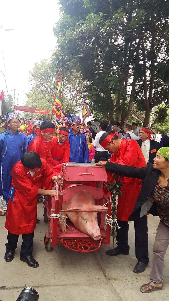 Hai "ông Ỉn" được người dân rước quanh làng, nhiều người dân đã đi theo đoàn rước.
