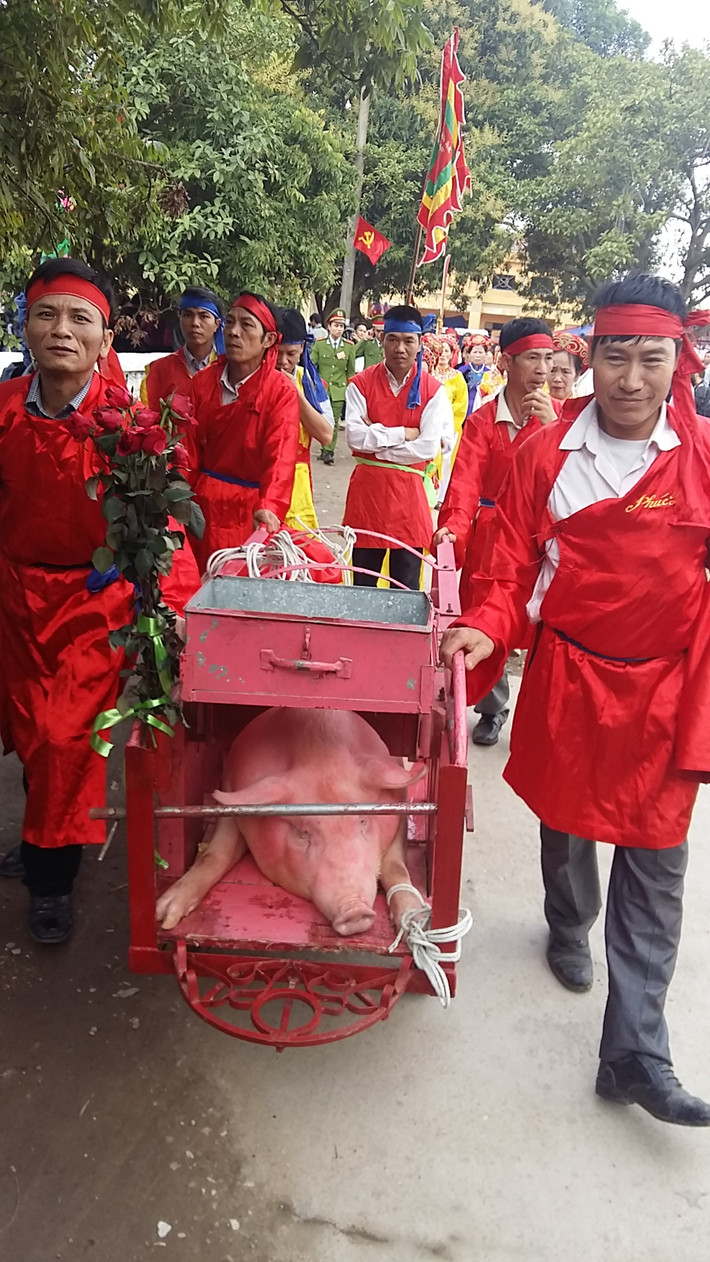 Sau khi tổ chức nghi lễ tại Đình, đoàn rước hai “ông Ỉn” đã tiến hành đi quanh làng, trước khi tổ chức nghi lễ chính là chém lợn tại đình làng.