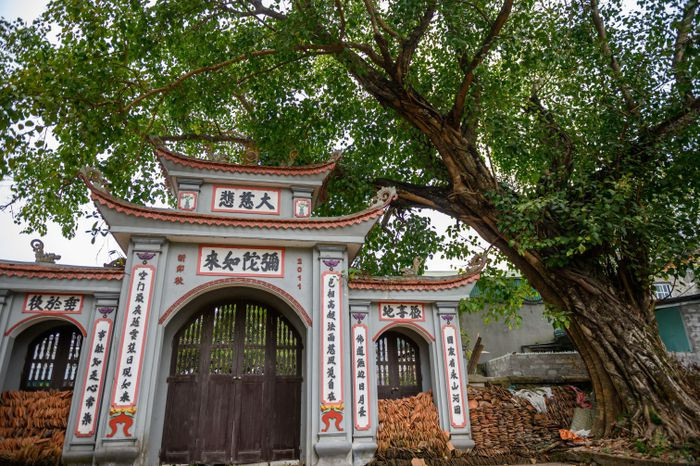 Chùa Tre ở thôn Đại Nghiệp, xã Tân Dân, huyện Phú Xuyên, Hà Nội, được xây dựng ít nhất trước năm 1328 (vào thời nhà Trần).