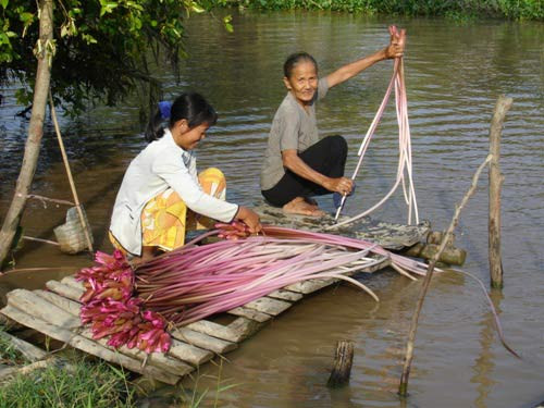Bông súng sau khi đem về thì lột sạch lớp da bên ngoài, cắt khúc, rửa sạch, ngâm nước đá để tăng độ giòn xong xong cho tỏi, ớt, chanh, đường và nước mắm vào. Sau đó đổ tôm sú luộc và thịt nạc khìa xắt mỏng vào trộn chung.