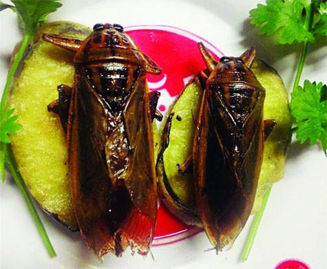 Hương vị đồng quê được thể hiện rõ nét trong món ăn từ con cà niễng cư trú ở trong các bãi gò nơi chuyên trồng lạc, ngô, khoai.