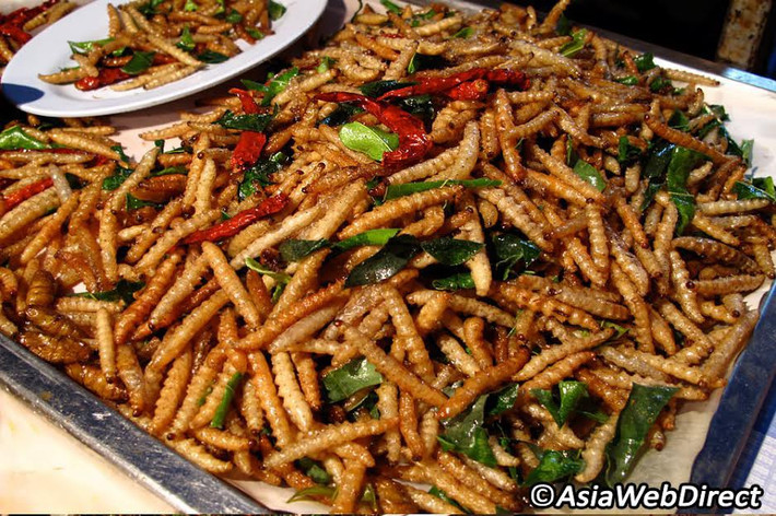 Sâu tre (Thái Lan): Thoạt nhìn, những con sâu lúc còn sống, ngọ nguậy hẳn sẽ khiến du khách rùng mình. Tuy nhiên, khi được chế biến, tẩm ướp kỹ càng, món ăn này chẳng khác gì món khoai tây chiên. Sâu tre là một trong những món ăn vặt độc đáo ở xứ chùa Vàng.