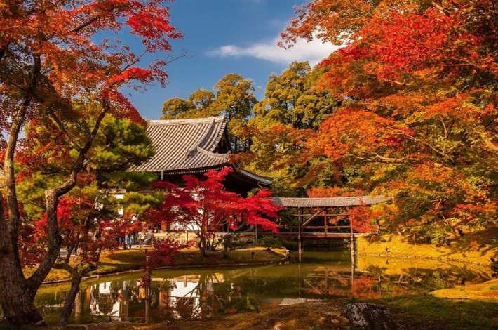 Đền Kodaiji, nơi mặt hồ nước phản chiếu quang cảnh mùa thu như một tấm gương. Ảnh: Nationalgeographic, IT,