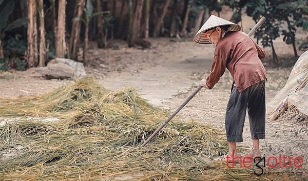 Hùng cho biết: "Lúc bấm máy ghi lại hoạt động của ngoại là lúc 11h trưa. Thời tiết lên tới gần 40 độ nến rất nóng nực. Song hằng ngày dù thời tiết như thế nào, ngoại vẫn lao động với tinh thần lạc quan, vui vẻ".