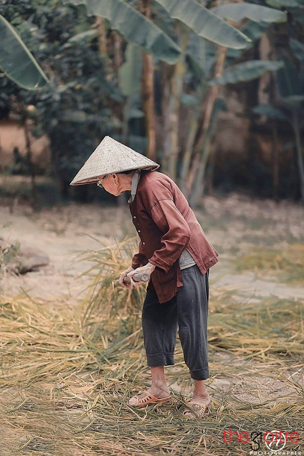 Với tông màu nhẹ nhàng, bên cạnh phác họa hình ảnh một người bà mộc mạc, giản dị... Hùng đã mang đến cho người xem một cái nhìn mới, thể hiện hình ảnh chân thực, thân quen về cuộc sống lao động của những người nông dân Việt Nam.