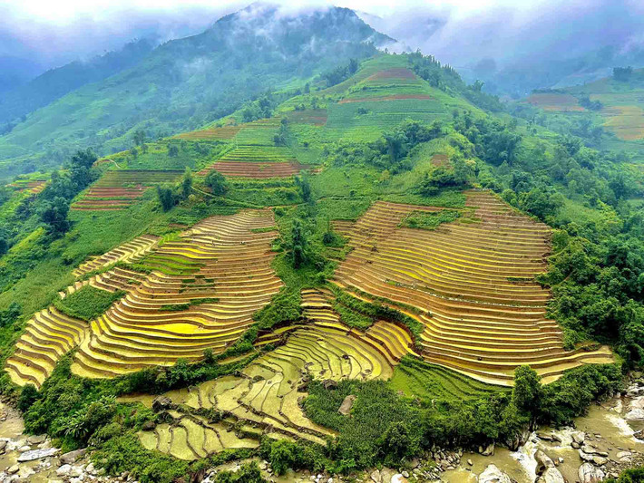 … và cũng có những thửa ruộng đang vào mùa nước đổ. Ảnh: Đinh Thanh Ngọc