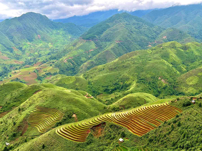 Ruộng bậc thang bao phủ hơn 2.200ha đất ở Mù Cang Chải. Trong đó, 500ha được Bộ Văn hóa, Thể thao và Du lịch công nhận là di sản quốc gia, thuộc ba ngôi làng La Pán Tẩn, Chế Cu Nha và Dế Xu Phình. Ảnh: Đinh Thanh Ngọc