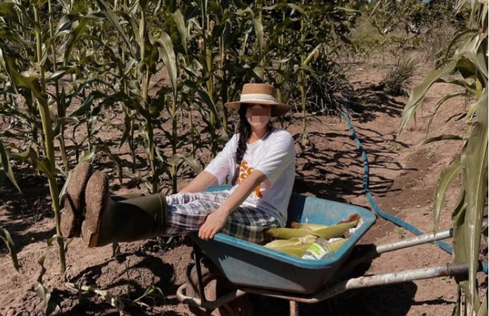 Để tạo lòng tin, Vân Anh đã đặt làm giả giấy đăng ký xe, đưa cho anh H. và nói chờ chủ xe đi công tác về sẽ làm giấy tờ và sang tên cho H. Đến ngày hẹn làm thủ tục chuyển nhượng và sang tên chủ xe, anh H. nhiều lần liên lạc nhưng Vân Anh né tránh.