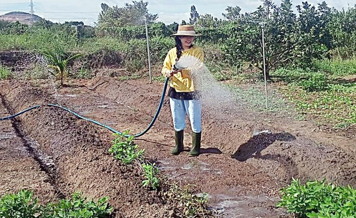 Làm việc với Cơ quan CSĐT Công an TP Phan Thiết, Ninh Thị Vân Anh đã khai nhận hành vi của mình. Công an TP Phan Thiết cho biết, hiện Vân Anh không còn khả năng trả số tiền đã nhận là 390 triệu đồng cho anh H. Đơn vị cũng đã đến TP Ninh Bình thu giữ chiếc xe tang vật đưa về Bình Thuận để phục vụ điều tra và định giá tài sản là 774.285.345 đồng.