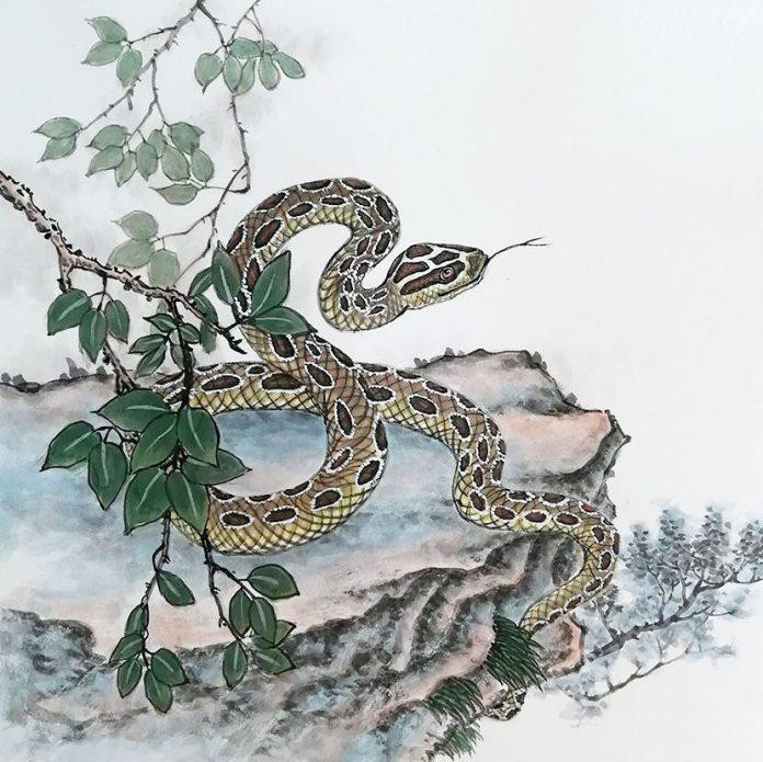 Về tình cảm, tuổi Tỵ vun đắp cho các mối quan hệ hiện tại. Nếu còn độc thân thì bạn hãy mạnh dạn mở lòng, theo đuổi đối phương khi gặp được người phù hợp. Đối với những con giáp đã có tình yêu, hãy thể hiện tấm lòng chân thành, ấm áp, quan tâm và chăm sóc nửa kia.
