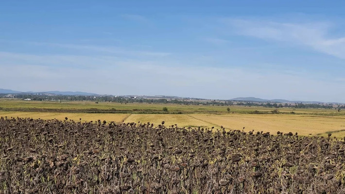Địa điểm này cách thành phố Biga ở phía tây bắc Thổ Nhĩ Kỳ khoảng 10 km về phía Bắc. Vào năm 334 trước Công nguyên, lực lượng của Alexander Đại đế đã đánh bại lực lượng Ba Tư trên chiến trường. Chiến thắng này giúp Alexander Đại đế thiết lập chỗ đứng trên lãnh thổ Ba Tư và tiến sâu hơn vào Trung Đông. Ảnh: Reyhan Körpe.