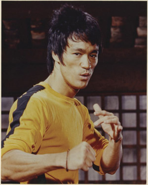 Lý Tiểu Long (1940 - 1973) là diễn viên, võ sĩ, võ sư người Mỹ gốc Hoa nổi tiếng thế giới. Ông được đánh giá là một biểu tượng của văn hóa đại chúng trong thế kỷ 20 và là người có ảnh hưởng lớn đến lĩnh vực võ thuật, phim ảnh.