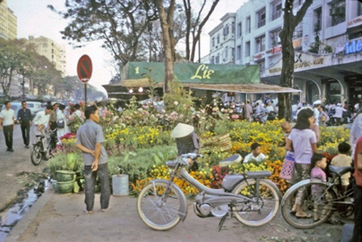 Nhiều người ghé vào cửa hàng để mua những chậu cây cảnh, hoa tươi trong một phiên chợ dịp Tết Nguyên đán. Ảnh tư liệu.
