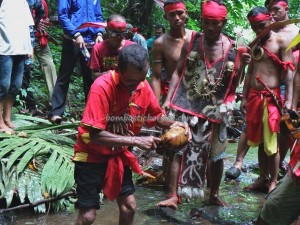 Thế nhưng, bộ lạc Dayak vẫn thực hiện tập tục rùng rợn trên như một cách bày tỏ lòng biết ơn khi mùa màng bội thu.