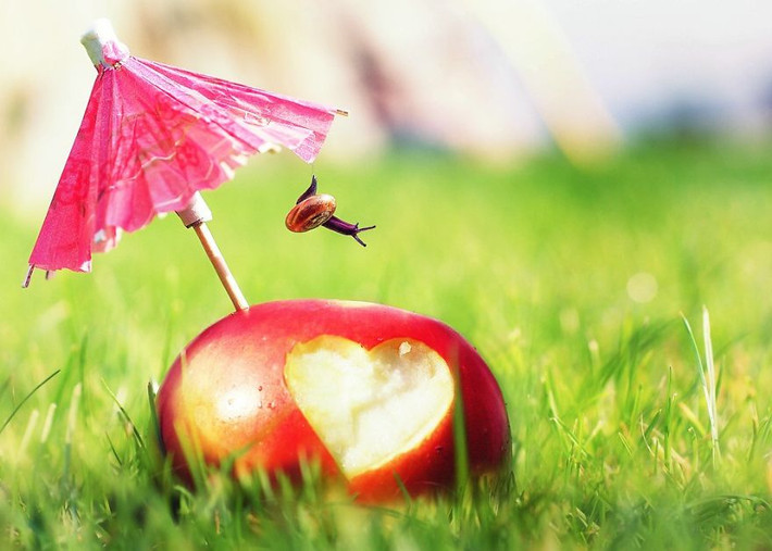 Ốc sên hưng phấn nhảy nhót khi tán đổ được cô hàng xóm, trong mắt chú ta, cả thế giới đều đáng yêu.
