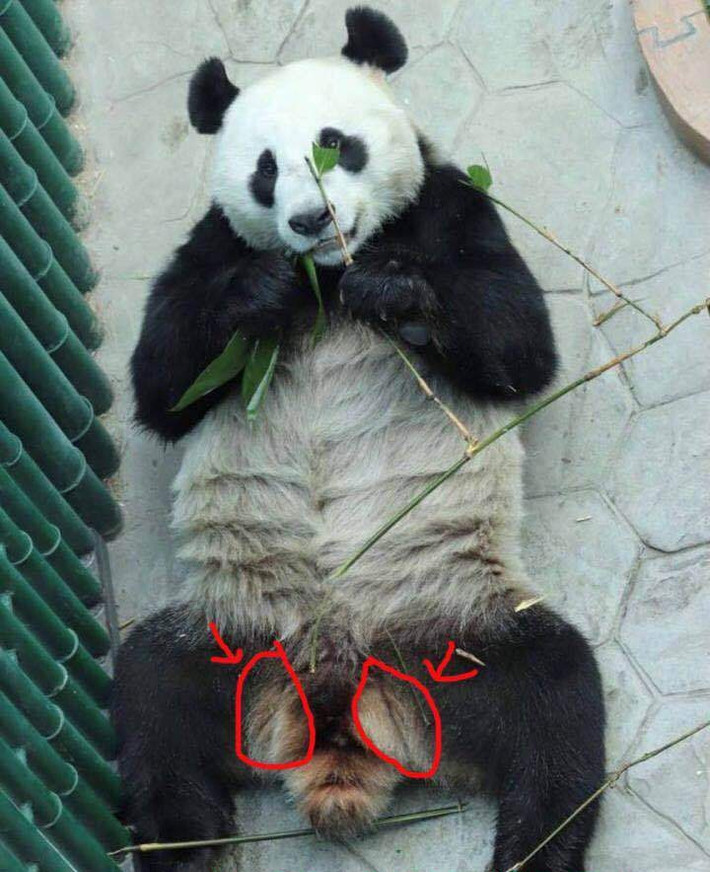 Sau khi phát hiện ra sự thật, các nhân viên đã chỉnh sửa lại thông tin và đưa ra lời giải thích.