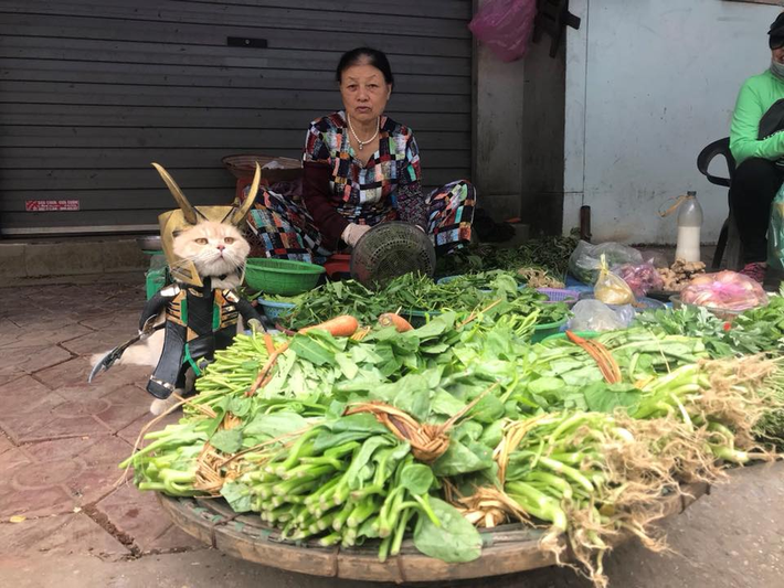 Tiếp tục trong vai nhân vật nửa chính nửa tà Loki, Chó khiến mọi người bị mê hoặc bởi thần thái cực ngầu. (Ảnh: Facebook Lê Quốc Phong)