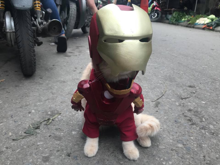 Ăn theo sức nóng của bộ phim "Biệt đội báo thù: Cuộc chiến vô cực" của Marvel, lần này, Chó hóa thân thành các siêu anh hùng nổi tiếng như Người Sắt, Thor, Loki nhưng không phải là để đi giải cứu thế giới, mà là đi bán gà, bán rau, bán tôm ngoài chợ. (Ảnh: Facebook Lê Quốc Phong)
