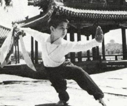 Lý Liên Kiệt sinh năm 1963, là ngôi sao võ thuật nổi tiếng của Hong Kong. Từ năm lên 8 anh đã tập wushu và sớm bộc lộ năng khiếu bẩm sinh. Năm 11 tuổi, Lý Liên Kiệt trở thành nhà vô địch giải Wushu trẻ toàn Trung Quốc. Mọi người gọi anh là "thần đồng võ thuật". Thời điểm đó Liên Kiệt nhận được nhiều lời mời đóng phim nhưng anh từ chối.