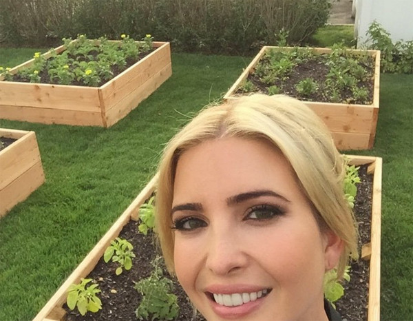 Cứ mỗi mùa hè đến, gia đình Ivanka lại có kỳ nghỉ cuối tuần tại biệt thự ở New Jersey. Ở đây, vợ chồng cô và các con cùng nhau làm vườn. Họ trồng các loại cây như bí, cà chua, đậu, cà rốt, dâu tây và nhiều loại hoa trong khu vườn rau củ của mình.