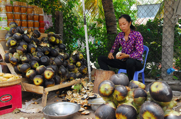 Bên cạnh nấu đường, người dân còn bán trái thốt nốt để bổ lấy cơm, ăn tươi. Việc này cũng đem lại thu nhập cao cho nông dân. Ảnh: Dân Việt.