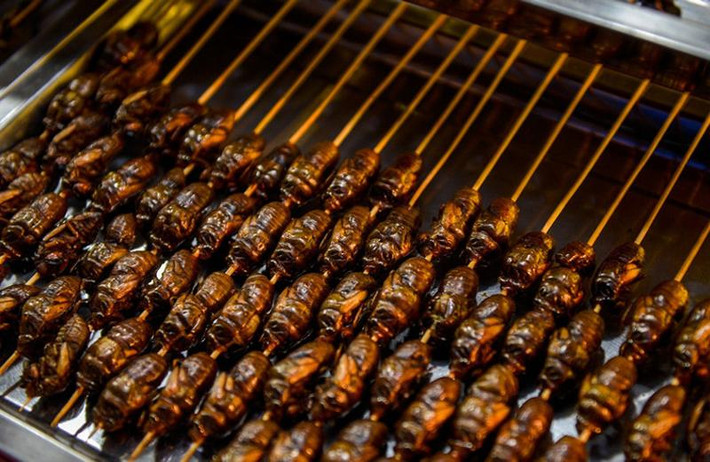 Các chủ gian hàng cho biết tất cả các loài côn trùng cung cấp nhiều protein và rất có lợi cho sức khỏe người ăn.