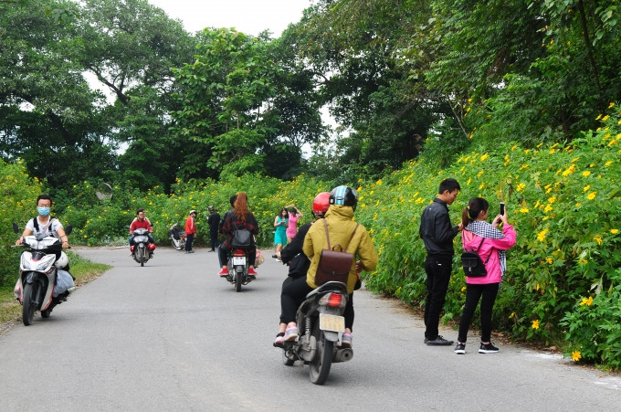 Ngoài rừng hoa dã quỳ, vườn quốc gia Ba Vì còn có rất nhiều địa điểm du lịch nổi tiếng như: Đền Thượng, Khu di tích lịch sử K9, Thiên Sơn - Suối Ngà, Ao Vua, Khoang Xanh - Suối Tiên. Ảnh: Pháp luật plus.