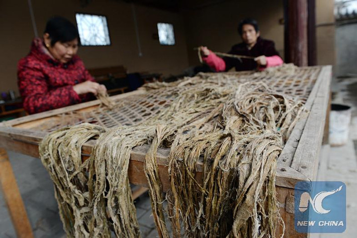 Các công nhân tước vỏ cây dâu tằm để làm giấy.