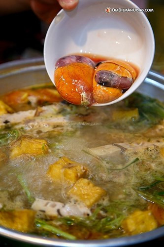 Lẩu trứng vịt lộn với nguyên liệu chính là trứng vịt lộn ăn kèm rau cải thảo, rau muống là chuẩn vị. Ảnh: Diadiemanuong.