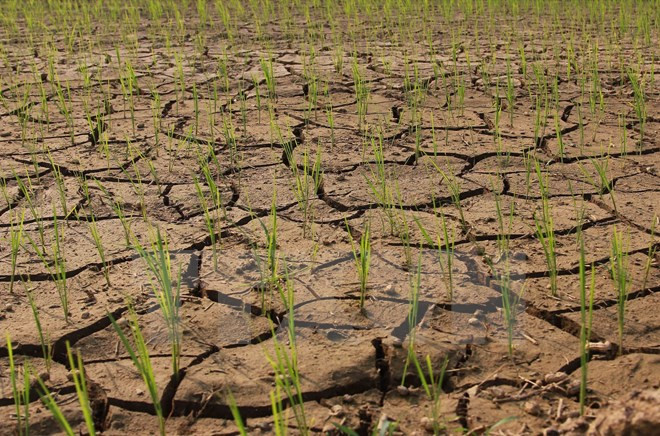 Vào ngày 11/5/2023, đại diện của NOAA cho biết có 90% El Nino sẽ xảy ra trong năm 2023 và kéo dài tới mùa Đông ở Bắc bán cầu. Theo dự đoán của NOAA, 80% khả năng El Nino ở mức độ vừa với nhiệt độ bề mặt đại dương tăng 1 độ C và 55% khả năng El Nino diễn biến mạnh với nhiệt độ bề mặt đại dương tăng 1,5 độ C.
