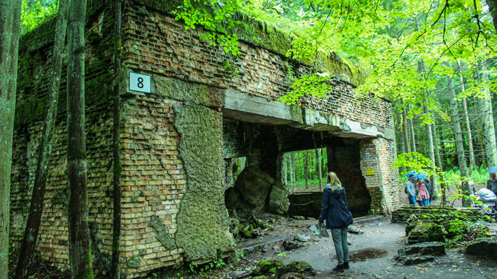"Hang Sói" (Wolf's Lair hay còn gọi Wolfsschanze) nằm sâu trong rừng Masurian, cách thị trấn Rastenburg (nay là Kętrzyn, Ba Lan) khoảng 8 km. Đây là căn cứ quân sự đầu não được xây dựng ở vị trí bí mật của chính quyền Đức quốc xã.