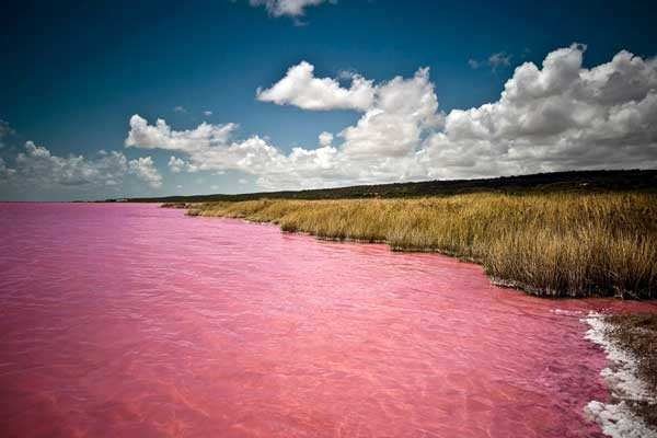 Hồ Retba thu hút hàng ngàn du khách trong và ngoài nước ghé thăm mỗi năm nhờ vẻ đẹp lạ lùng và độc đáo của màu nước.