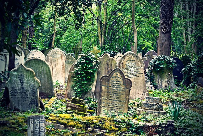 Dù sinh vật bí ẩn nghi là ma cà rồng này không gây hại cho người dân London nhưng nó vẫn khiến một bộ phận công chúng lo lắng, sợ hãi.