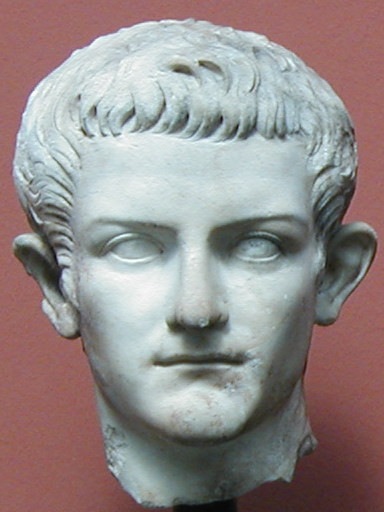 Hậu quả là Caligula tàn sát nhiều người mà ông coi là mối đe dọa để bảo vệ quyền lực của một nhà vua. Thậm chí, Caligula còn tịch thu tài sản của nhiều người dân, quý tộc, quan chức. Ông cũng khiến giới chức quân đội bất mãn vì những hành vì tàn độc.