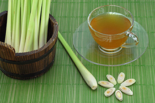 Ngoài ra tinh dầu sả cũng giúp cải thiện trí nhớ, chữa mất ngủ, tăng sự tập trung và trí nhớ.