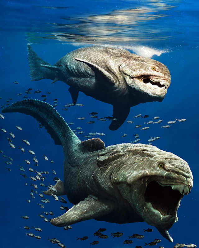 Căn cứ vào những hóa thạch của Dunkleosteus terrelli đã được tìm thấy, các nhà nghiên cứu phát hiện chúng có kích thước tương đương một một xe bus loại nhỏ với chiều dài 11m và có thể nặng tới 4 tấn.