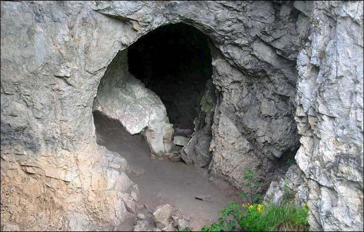 Gen của người Denisova mang một số đặc điểm tương tự giống người Neanderthal và 11 giống người hiện đại trên thế giới ngày nay. Đó là bằng chứng của sự đồng huyết. Vậy nên, ADN của người Denisova vẫn tồn tại trong một bộ phận dân số ngày nay.